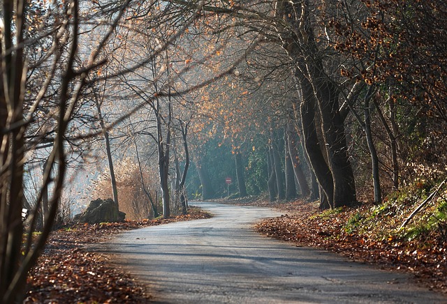 Yourself, Juliette Page